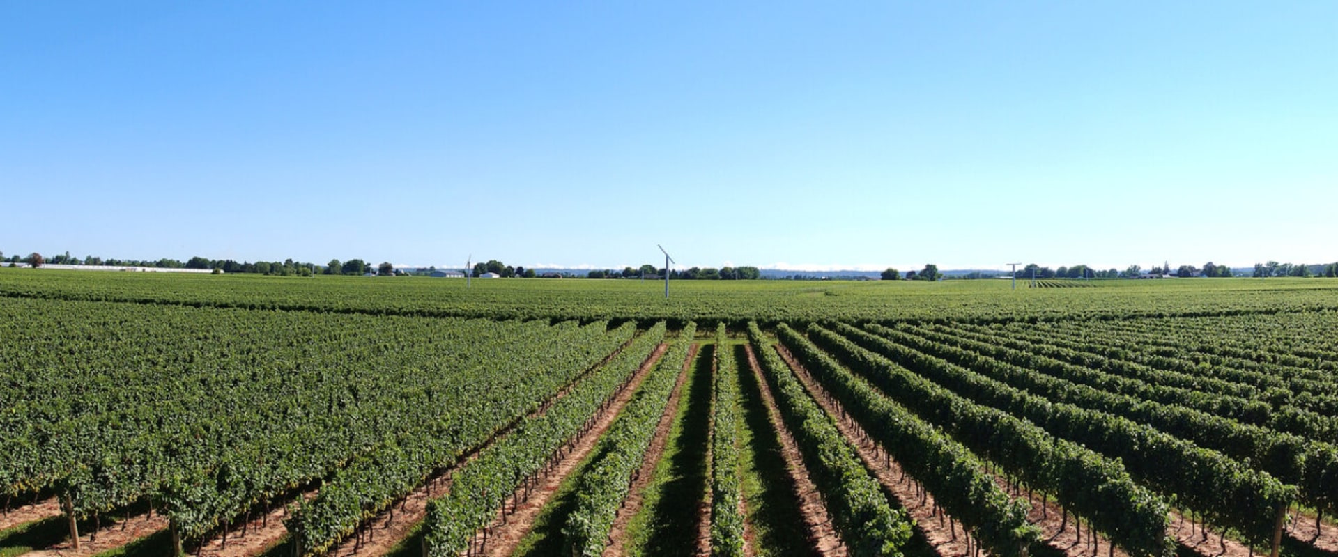 Discovering the Hidden Gems of Chautauqua County, New York