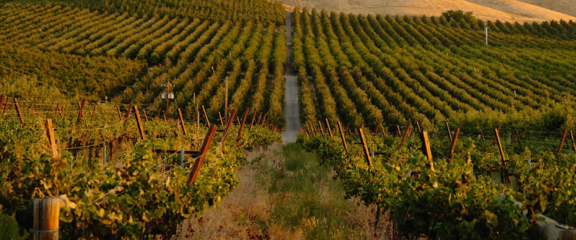 Discovering the Sustainable Wines of Chautauqua County, New York