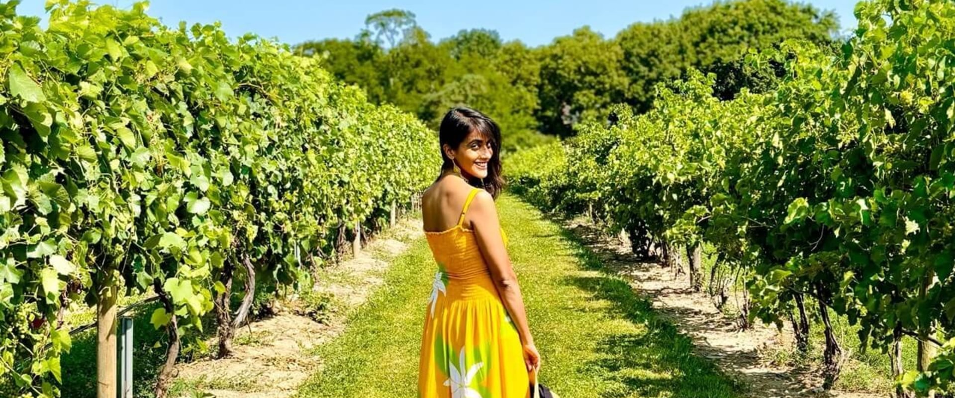 Uncovering the Hidden Wine Paradise in Chautauqua County, New York