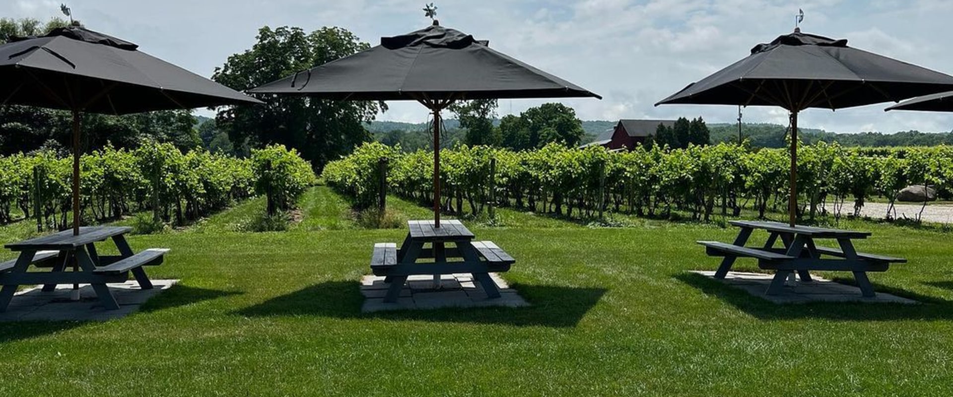 Exploring the Best Wineries in Chautauqua County, New York: A Guide to On-Site Accommodations