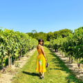 Discovering the Culinary Delights of Chautauqua County, New York: A Wine Lover's Paradise