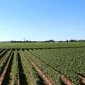 Discovering the Hidden Gems of Chautauqua County, New York