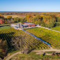 Exploring Non-Alcoholic Options at Wineries in Chautauqua County, New York