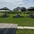 Exploring the Best Wineries in Chautauqua County, New York: A Guide to On-Site Accommodations