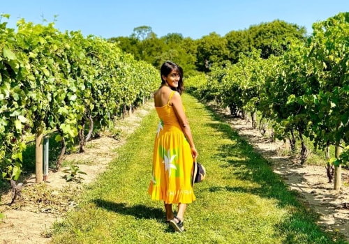 Discovering the Culinary Delights of Chautauqua County, New York: A Wine Lover's Paradise