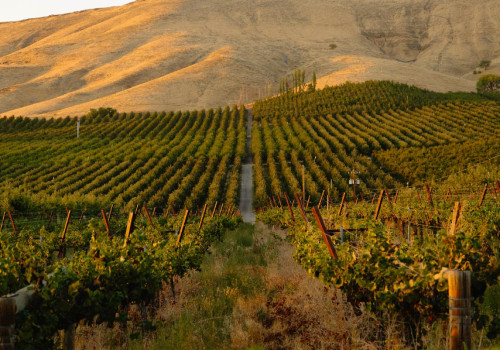 Discovering the Sustainable Wines of Chautauqua County, New York