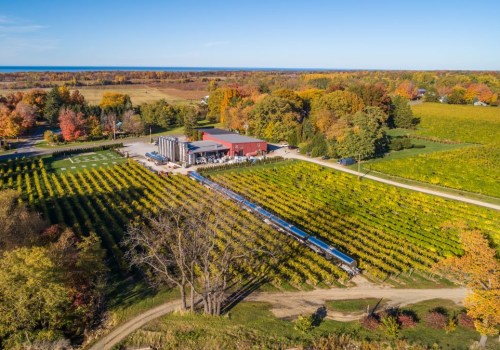 The Ultimate Guide to Wine Clubs and Loyalty Programs in Chautauqua County, New York