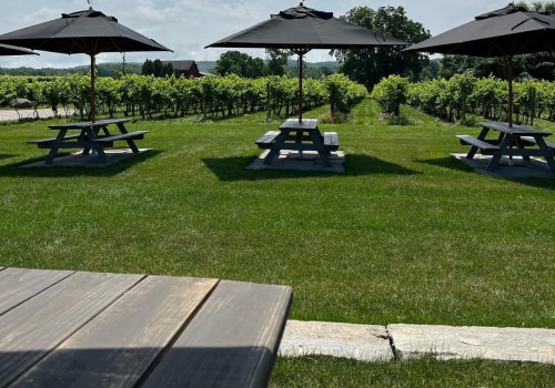 Exploring the Best Wineries in Chautauqua County, New York: A Guide to On-Site Accommodations